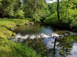 Book Salisbury Accommodation Vacations Swimm Swimm