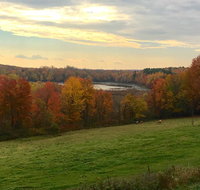 Tentrr  Hollow Tree Camp