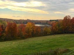 Book Waymart Accommodation Vacations Renee Renee