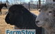 Tentrr Signature - Mountain Views And Farm Animals - thumb 3
