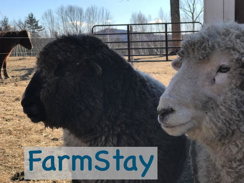 Tentrr Signature - Mountain Views And Farm Animals - Renee 3
