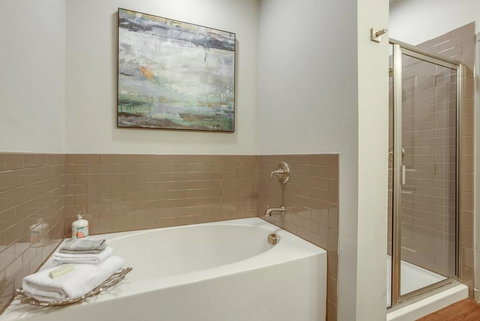 Texas Corporate Housing Solutions Professional Apt - Renee 1