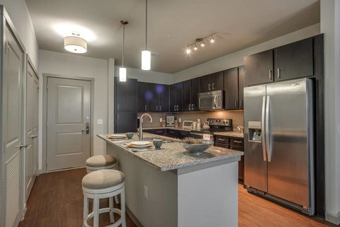 Texas Corporate Housing Solutions Professional Apt - Renee 2