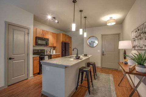 Texas Corporate Housing Solutions Professional Apt - Renee 1