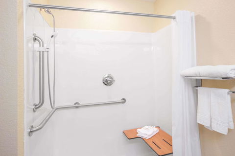 Microtel Inn & Suites By Wyndham Albertville - Renee 18