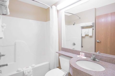 Microtel Inn & Suites By Wyndham Albertville - Renee 15