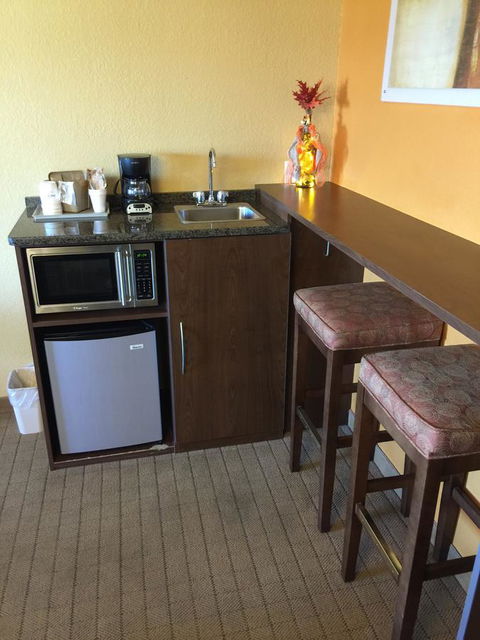 Microtel Inn & Suites By Wyndham Albertville - Renee 6