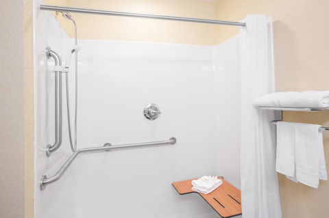 Microtel Inn & Suites By Wyndham Albertville - Renee 13