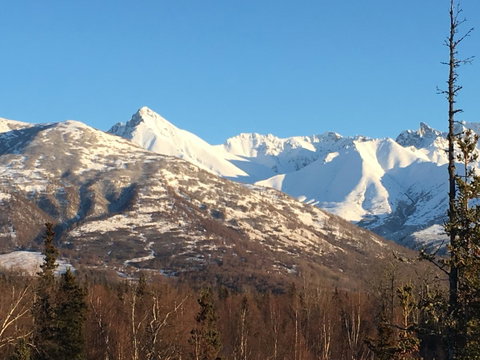 Alaska Knotty Pine B&B - Qld Realsetate 38