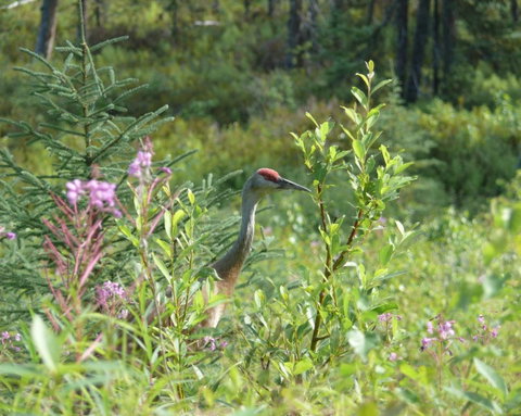 Kings Haven Lodge - Qld Realsetate 11