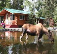 A Cabin by the Pond