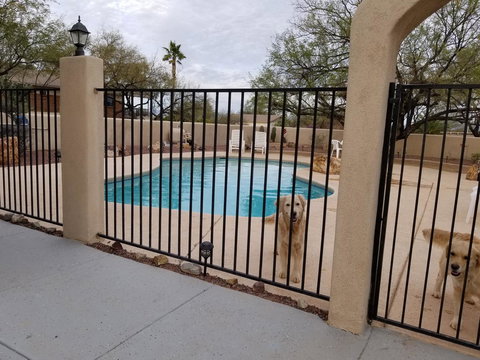 Carson's Casita - Renee 20