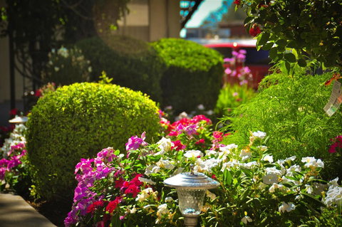 Best Western Plus Yosemite Way Station - Internet Find 1