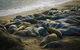 Morro Bay Beach Inn - thumb 22