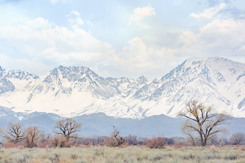 Holiday Inn Express Hotel & Suites Bishop - Internet Find 10