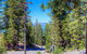 Tree Top Retreat - thumb 2