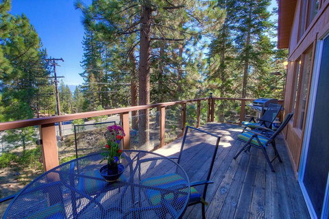 Tree Top Retreat - Swimm 7