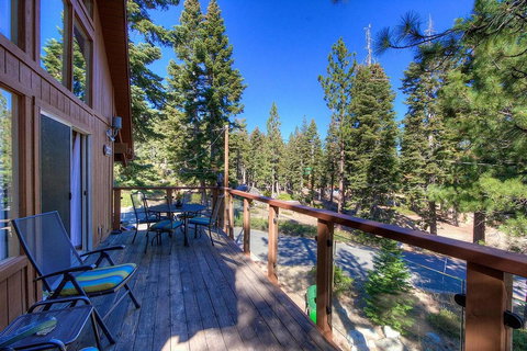 Tree Top Retreat - Swimm 8