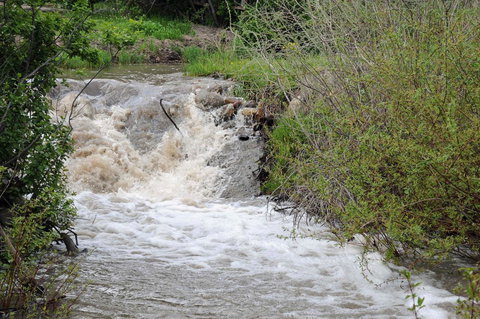 Cabin By The Creek - Renee 13