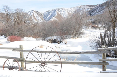 Cabin By The Creek - Renee 15