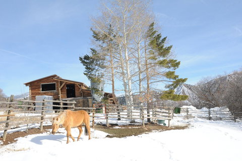 Cabin By The Creek - Renee 11