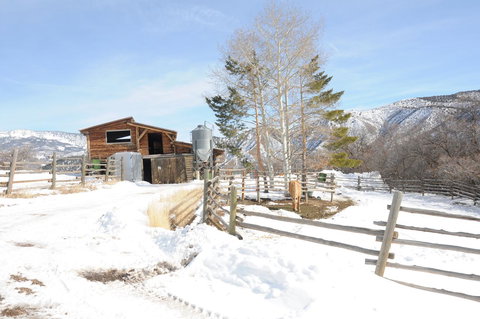 Cabin By The Creek - Renee 4