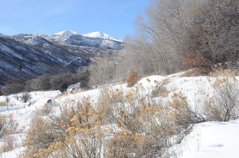 Cabin By The Creek - Renee 6