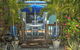 Island Bay Resort - thumb 2